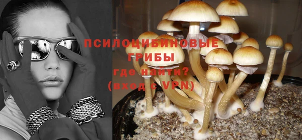 прущий лед Абаза